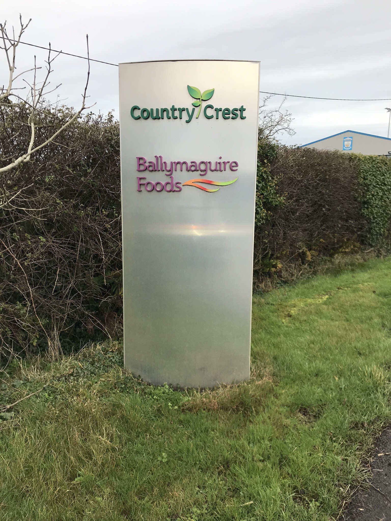 Country Crest case study image
