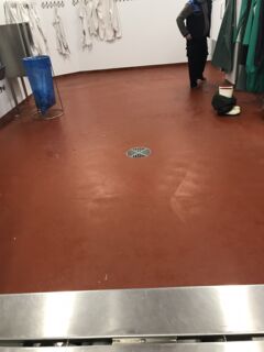 Country Crest case study image floor drain